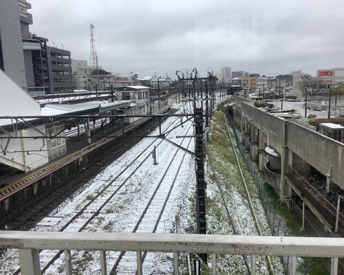 佐倉